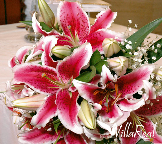 nupcias-yugos-y-decoracion nupcias-yugos-y-decoracion