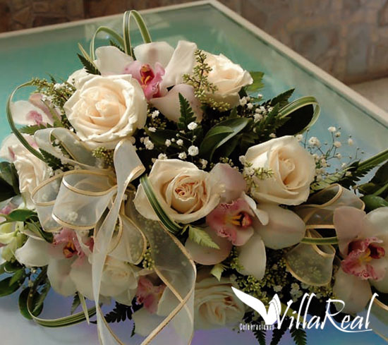 yugos-en-medellin yugos-en-medellin